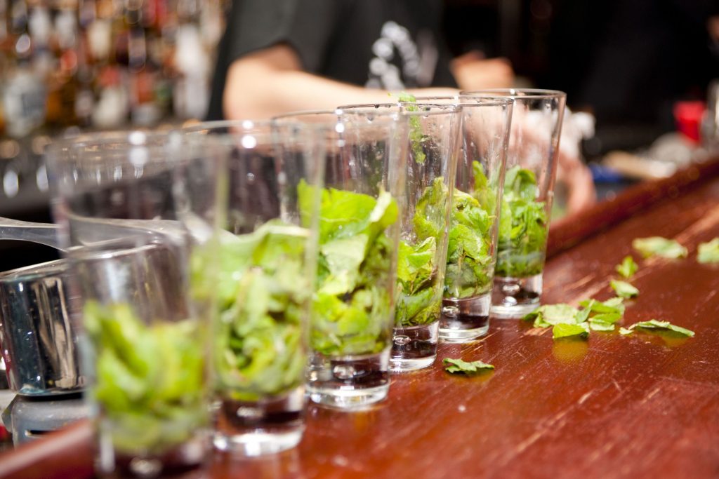 5113664 - highball glasses with mint leaves - preparing mojitas 5113664 - highball glasses with mint leaves - preparing mojitas