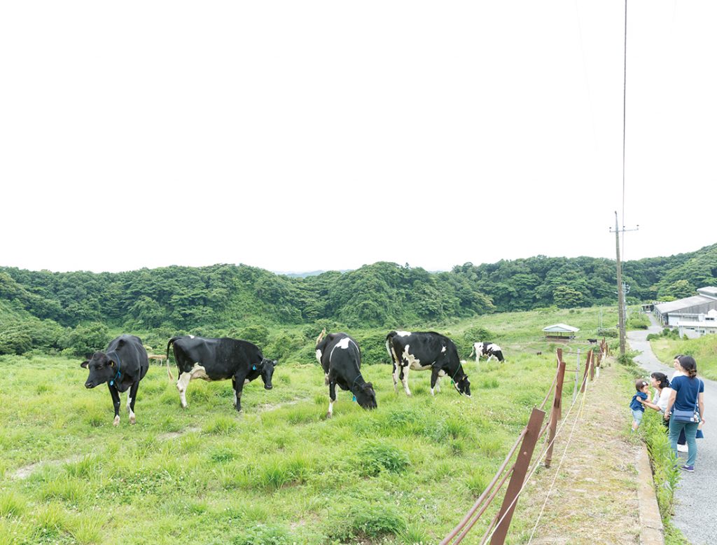 高秀牧場 ミルク工房 高秀牧場 ミルク工房