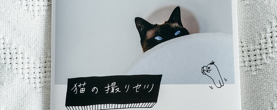 『猫の撮リセツ』の誕生秘話。