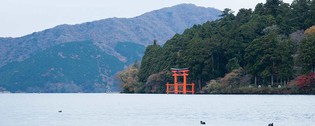 お気に入りのパワースポットが見つかる『幸せをよぶ、神社とお寺。』特集、発売。