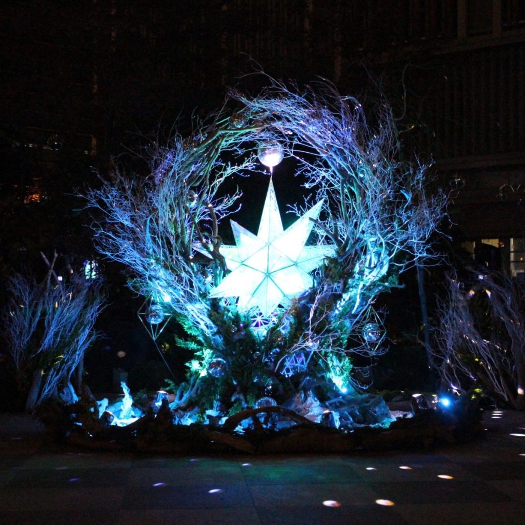 NIHONBASHI - 星降ル森 NIHONBASHI - 星降ル森