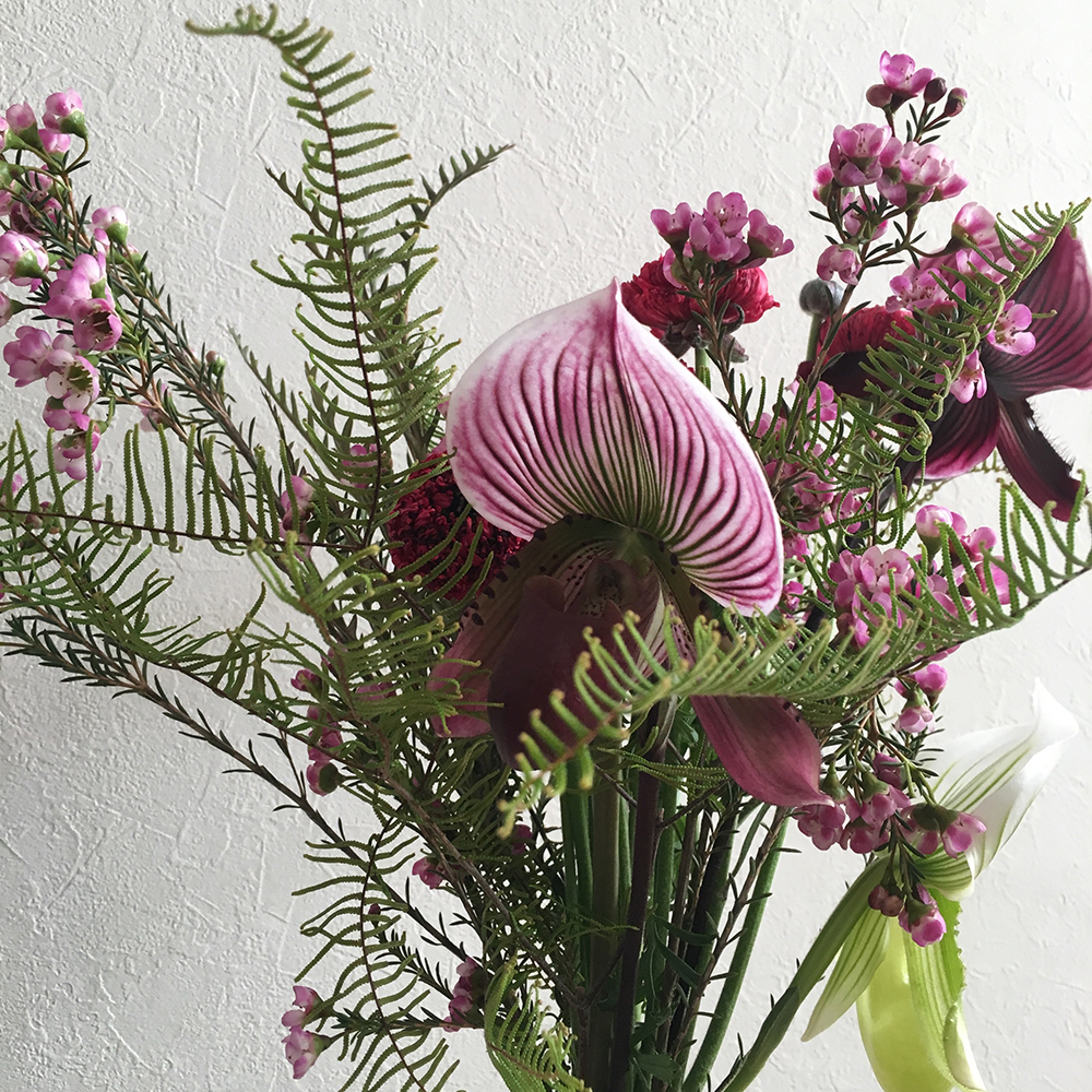 種類豊富な 蘭の魅力を引き出そう 前田有紀の 週末 気分転 花 Hanako Tokyo