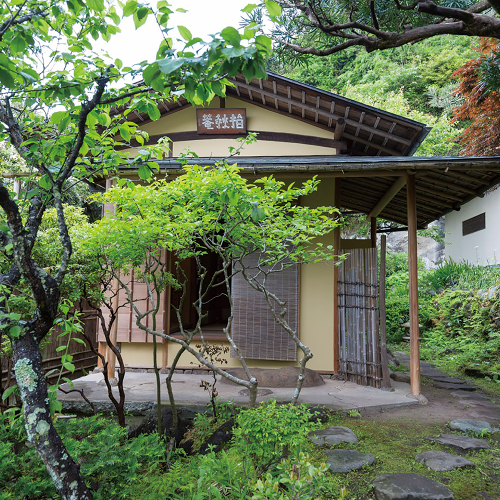 日本庭園にはお茶室も。現在は使用されていないが、将来的には利用予定も。