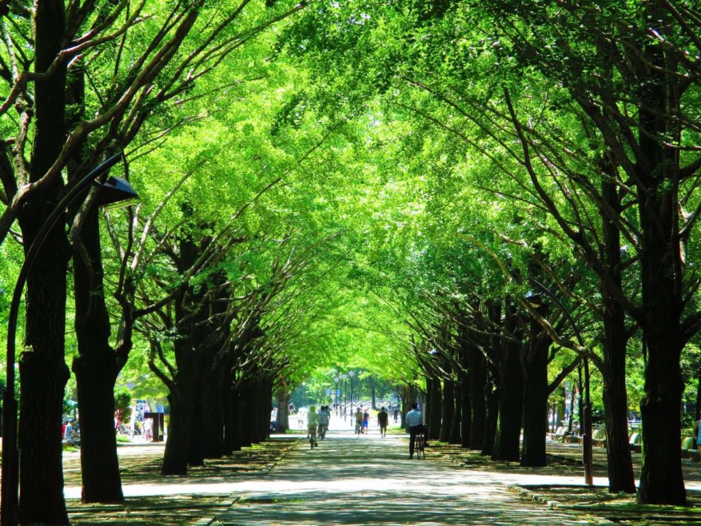 気分に合わせてランニングを楽しめる ジョギングコース付きの都内の公園まとめ Lifestyle Hanako Tokyo