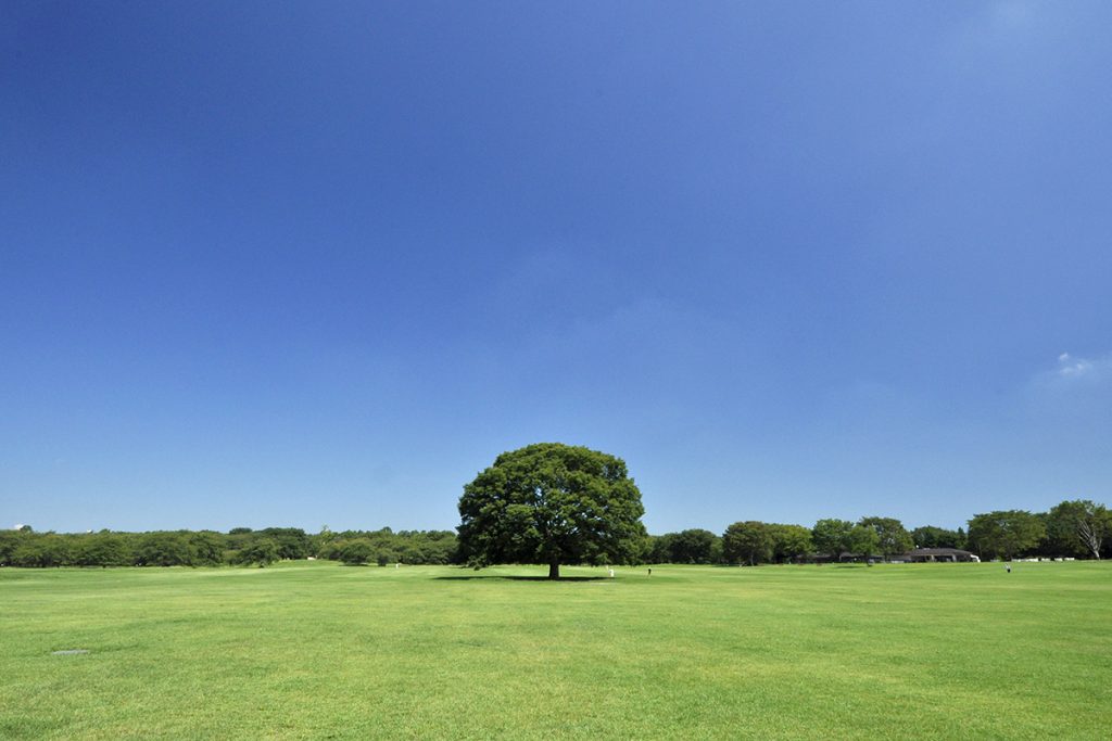 qにアスレチック のびのび遊び回りたい時におすすめな都内の公園まとめ Lifestyle Hanako Tokyo