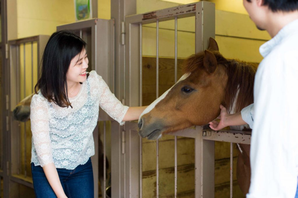 動物たちと直接触れ合いが楽しめる 癒され度抜群な都内公園まとめ Lifestyle Hanako Tokyo