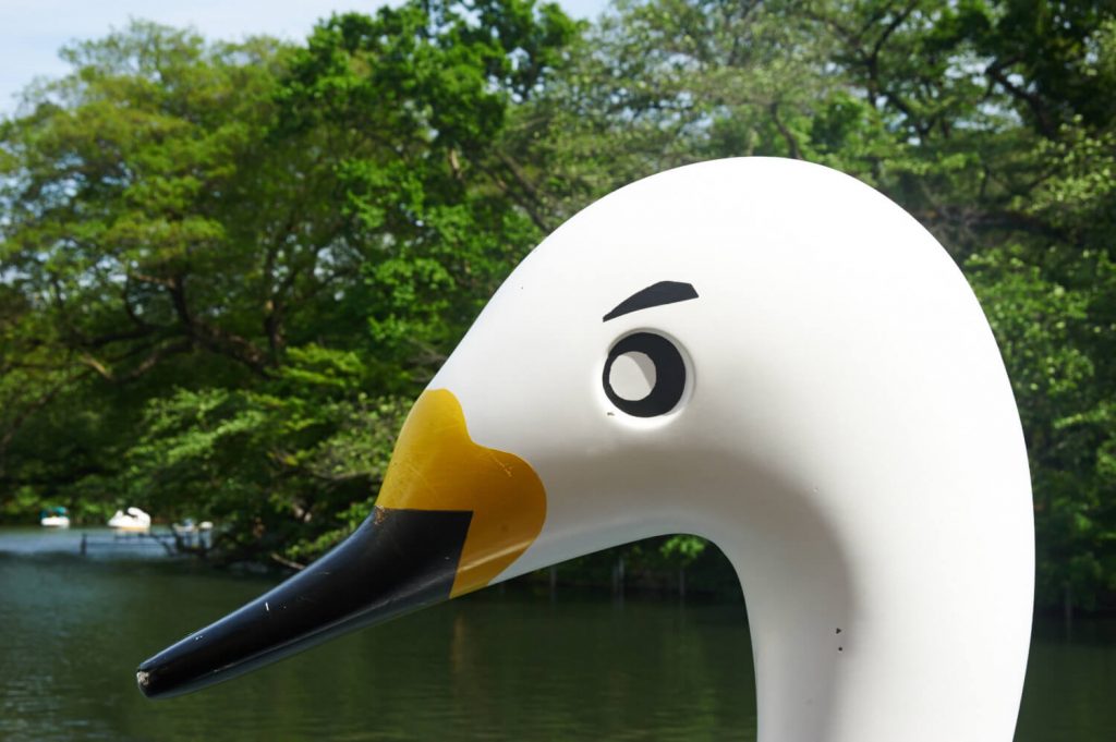 1台だけあるオスの眉毛スワンに乗れると幸せになる スワンボートを楽しめる東京都内の公園まとめ Lifestyle Hanako Tokyo