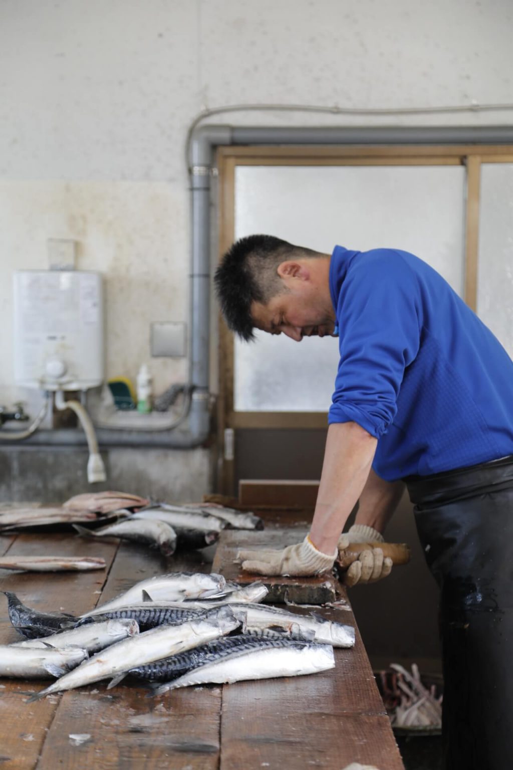 もの凄い鯖 を食べられるお店とは いま話題の もの凄い鯖 ラブコール続出中 Food Hanako Tokyo