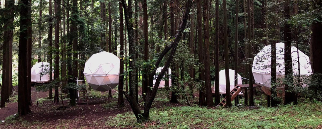 森に浮かぶ球体と地元のごはんを〈inn the park〉で。