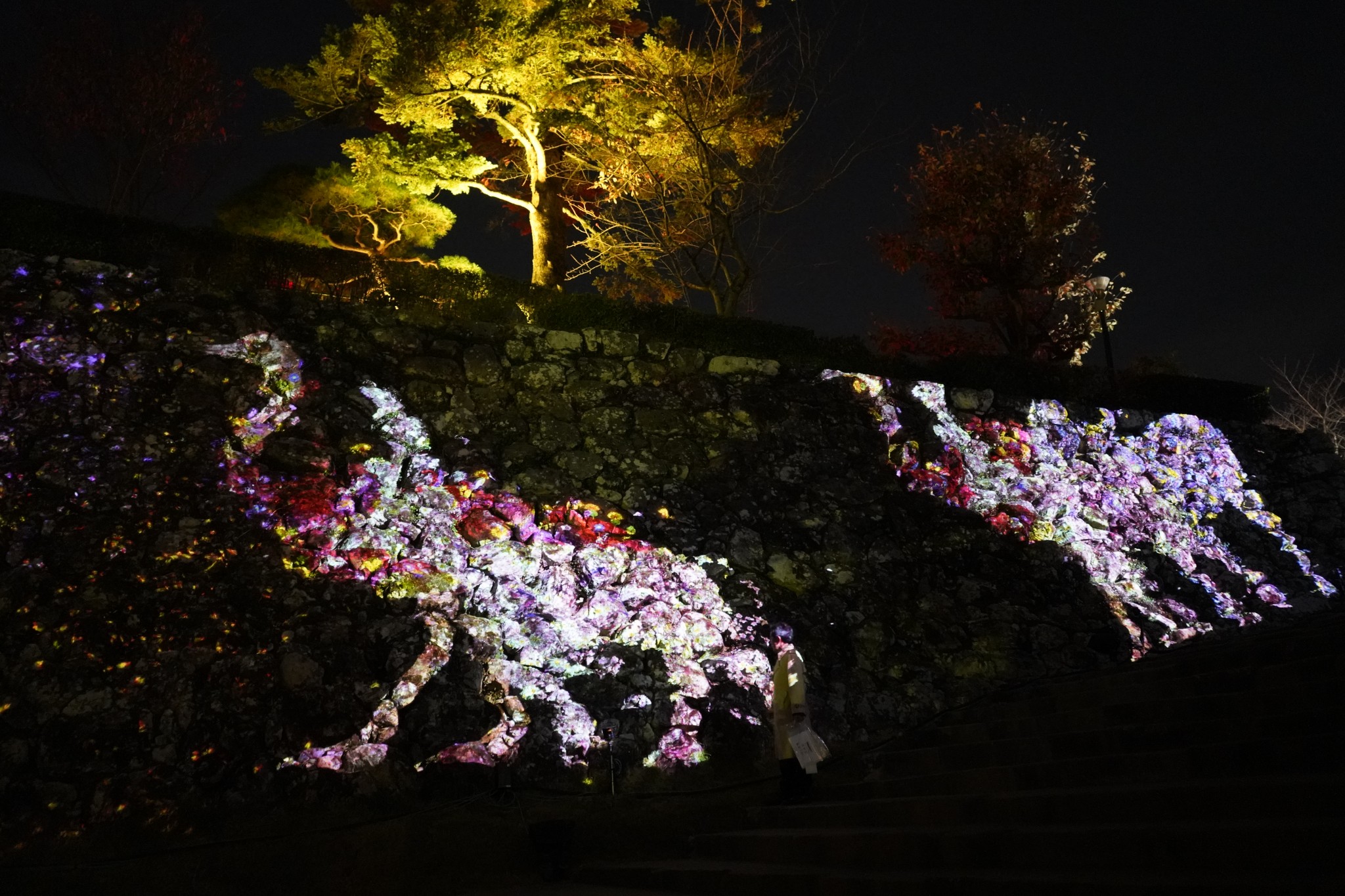 ■「高知城の石垣に住まう花と共に生きる動物達」