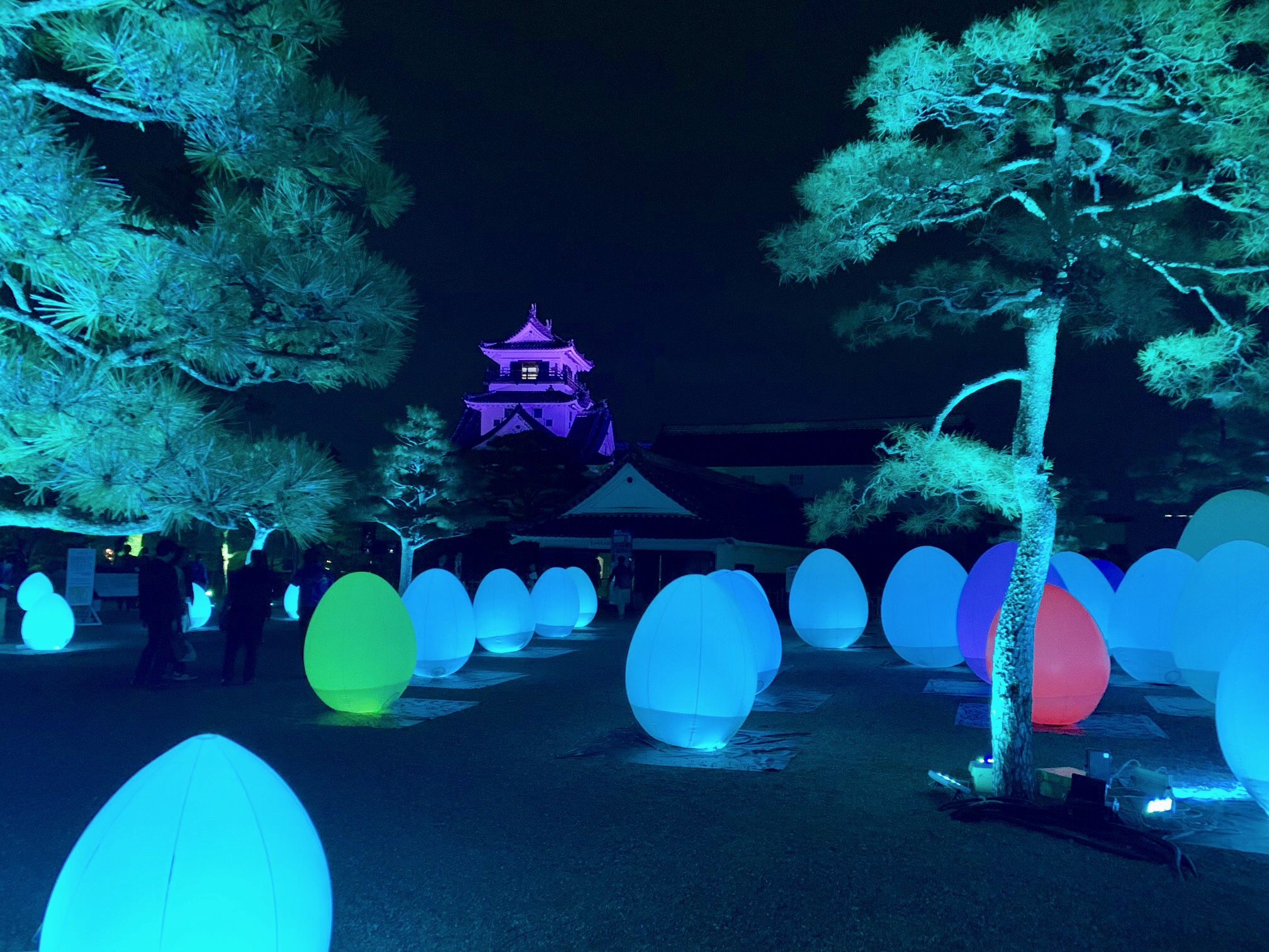 ■2019年1/6（日）まで『チームラボ 高知城 光の祭』を開催中。