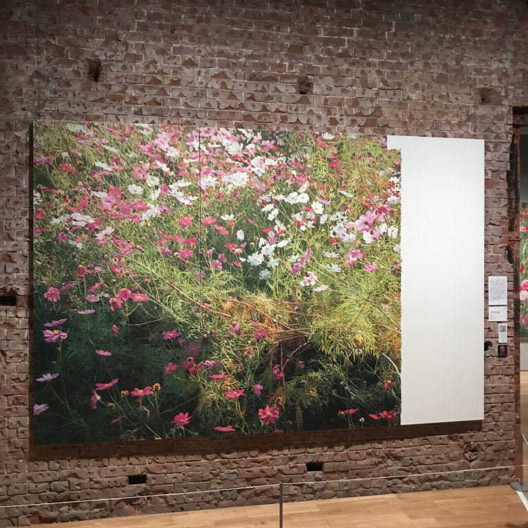 吉村芳生「コスモス(絶筆)」(2013) IMG_2023