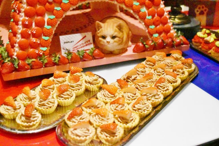 おしりをフリフリして、狙っていそうなにゃんこが可愛い!! DSC_0110