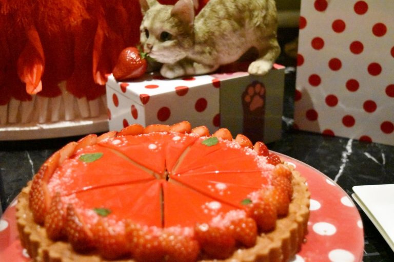 おいしそうな「苺とルビーチョコレートのタルト」の後ろで、にゃんこが苺をクンクン。 DSC_0133