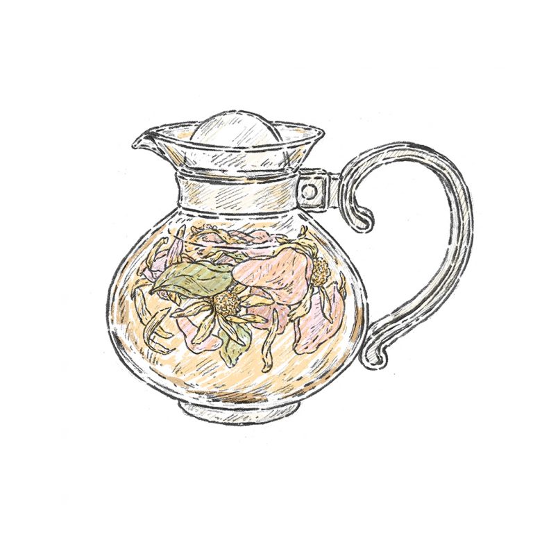 〈ハーバルランチ〉イラスト 〈ハーバルランチ〉イラスト