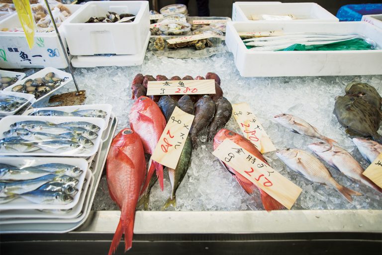 志摩 〈丸義商店〉 志摩 〈丸義商店〉