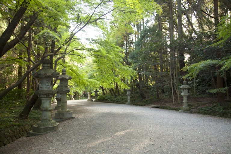 最強パワースポットで有名なご神木も 千葉 香取神宮 5つの参拝スポット Magazine Hanako Tokyo