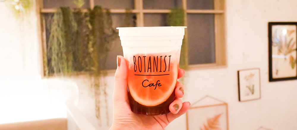 チーズ×紅茶×日向夏が一杯に。〈BOTANIST〉共同開発の「日向夏チーズティー」が完成間近!