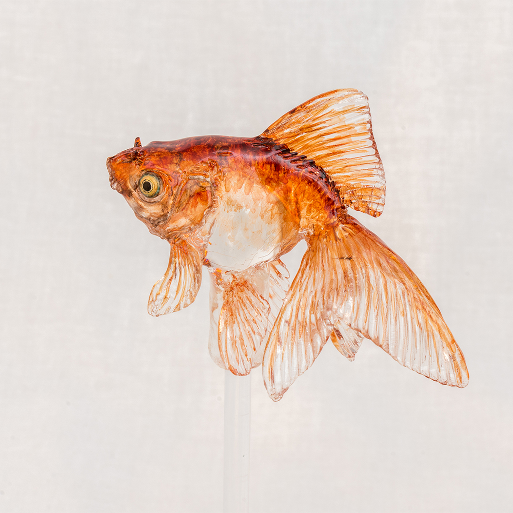 「金魚」3,980円