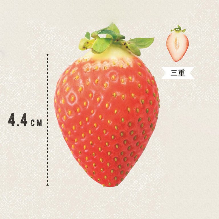 完全保存版 お気に入りの品種が見つかる いちごのおすすめ品種図鑑 Food Hanako Tokyo