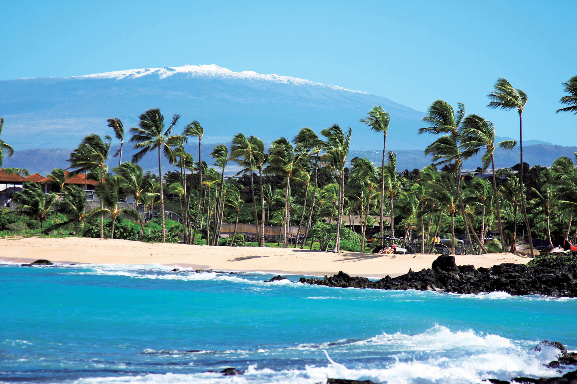 写真提供：Hawaii Tourism Authority (HTA)／Kirk Lee Aeder