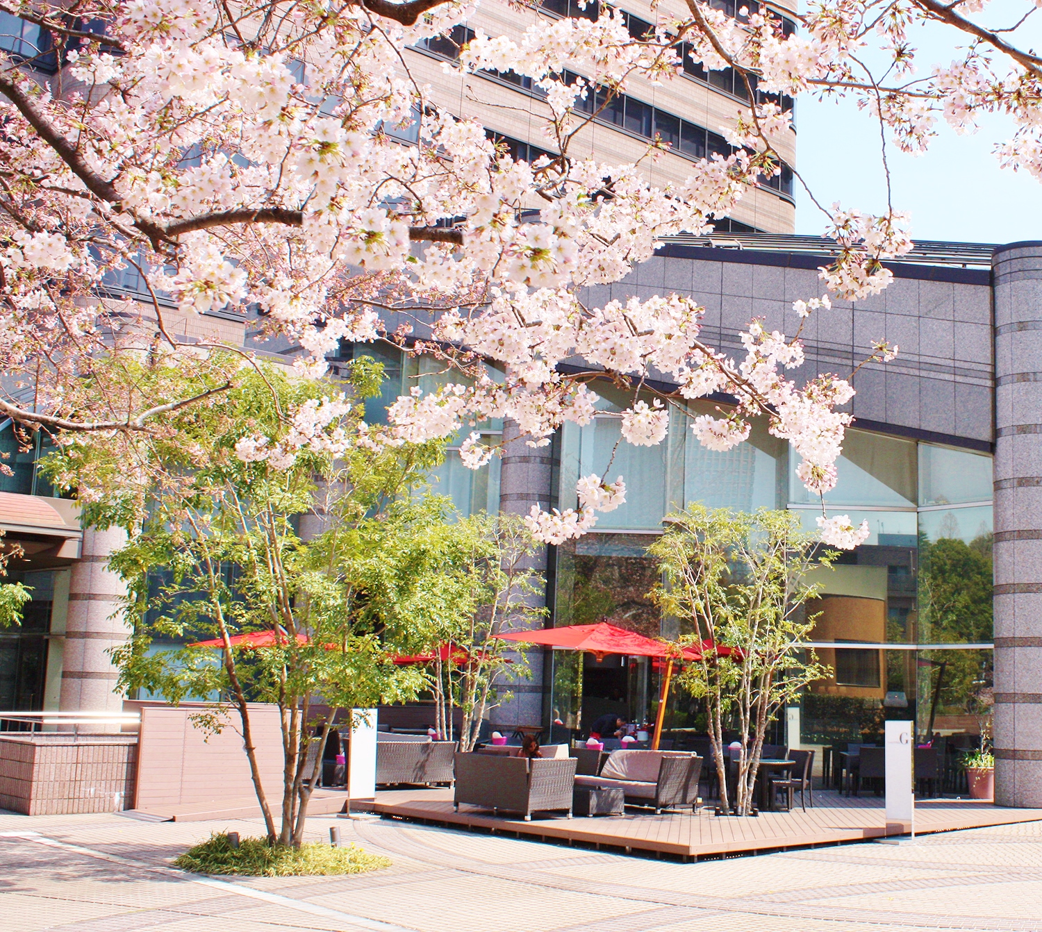 同ホテルが立地する御殿山は、江戸時代から桜の名所として知られている。