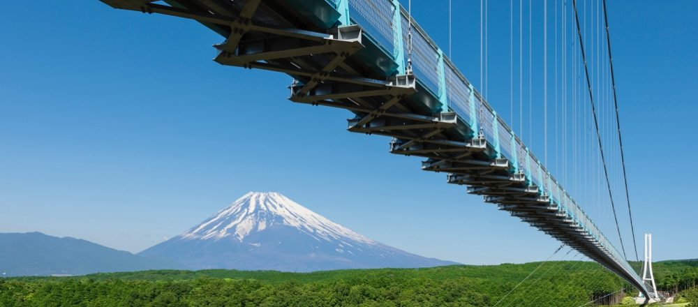 世界遺産 富士山の絶景や限定贅沢ランチを楽しむ 春の静岡への旅 前編 Food Hanako Tokyo