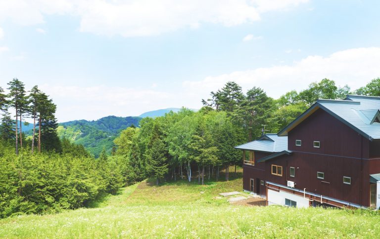 5月中旬~6月上旬の開花期になると辺りはカミツレ一色に。 北安曇野 カミツレの宿 八寿恵荘