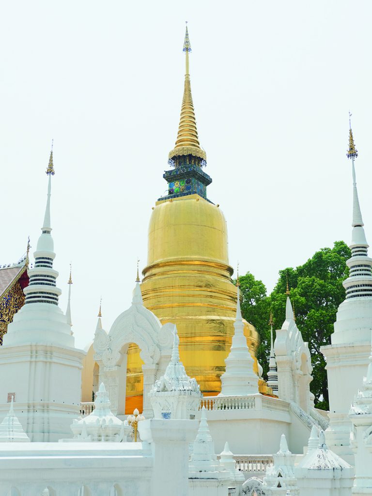 タイ語で「花園」を意味する寺院「ワット・スアン・ドーク」で白く美しい仏塔にうっとり。