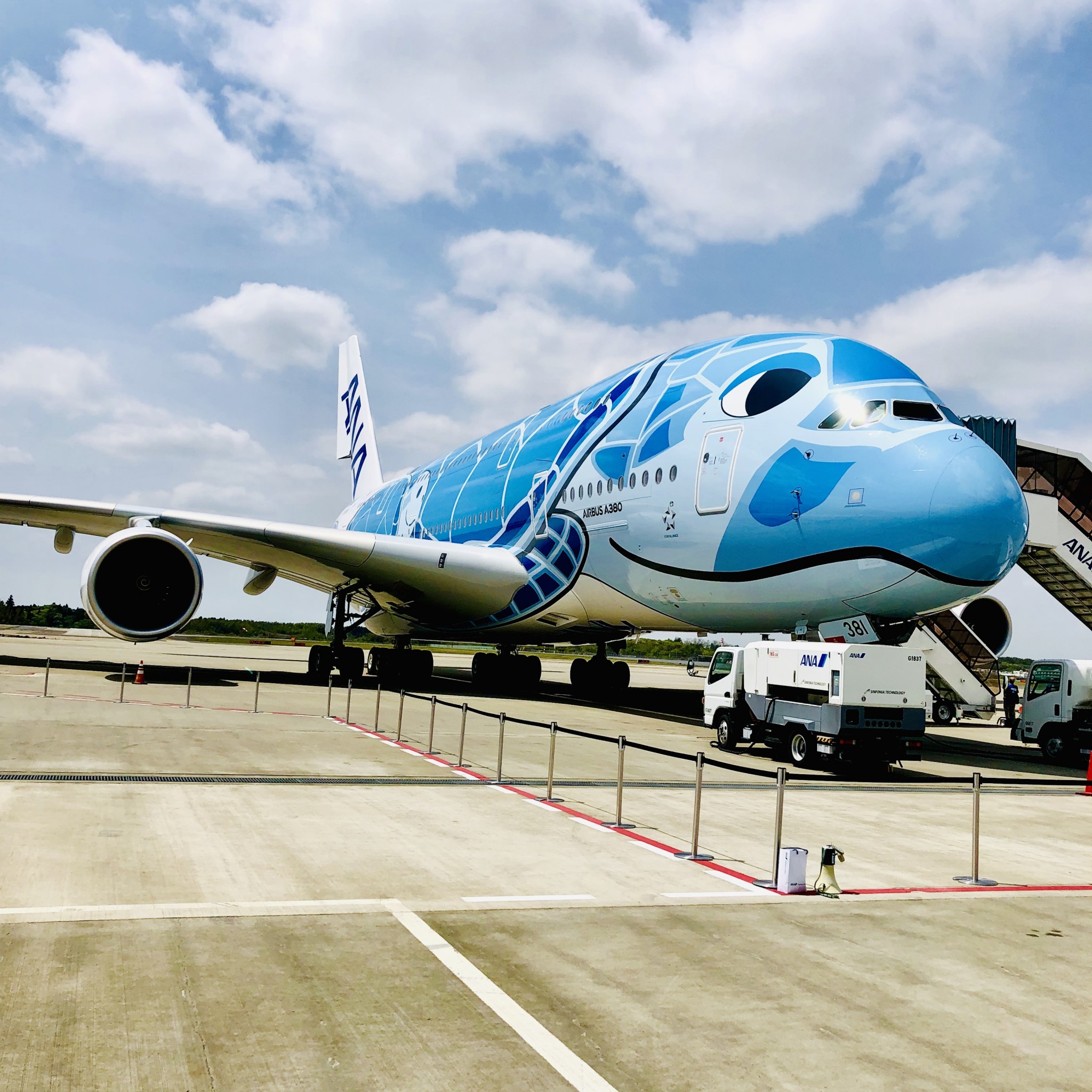 A380型〈FLYING HONU〉ホノルル線