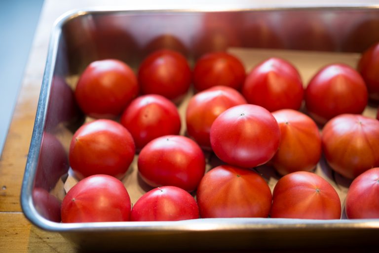 糖度が高く旨みも濃厚な長谷川農園のトマト。塩を加えるだけでソースとして成立する。