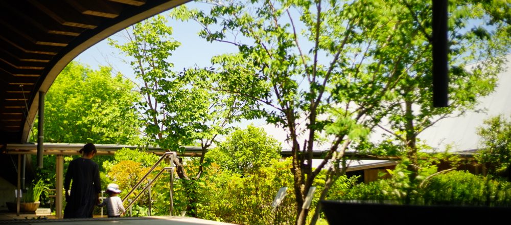 緑に癒される休日を。四季折々の季節で楽しめる「植物園」の魅力と楽しみ方。