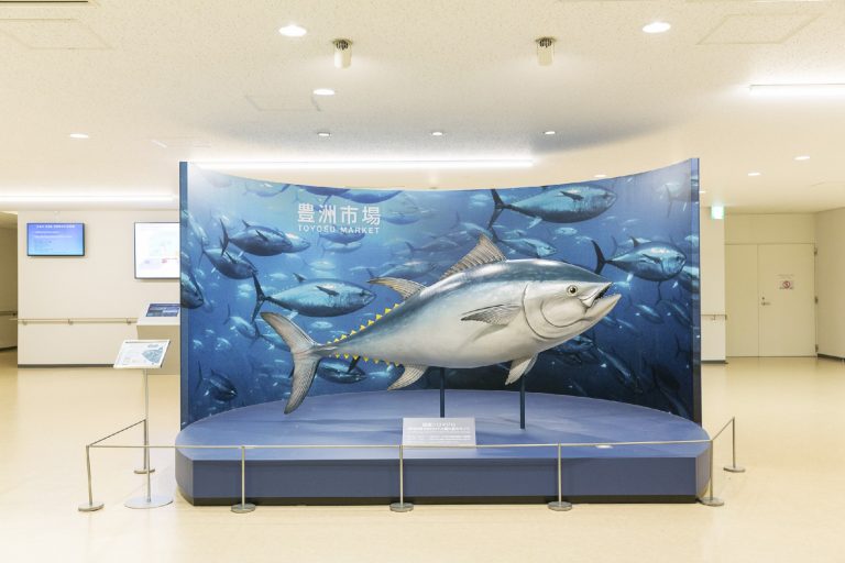 クロマグロの実物大模型も。 _G4C0290