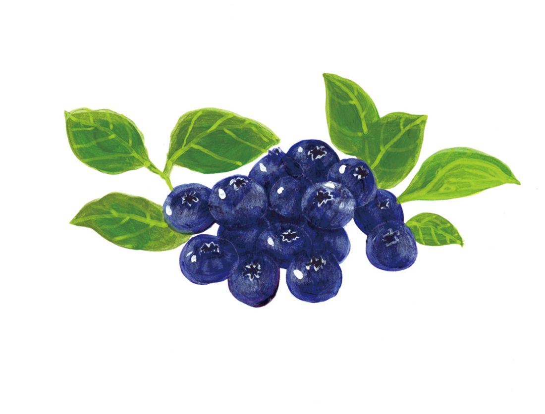 blueberry_cmyk