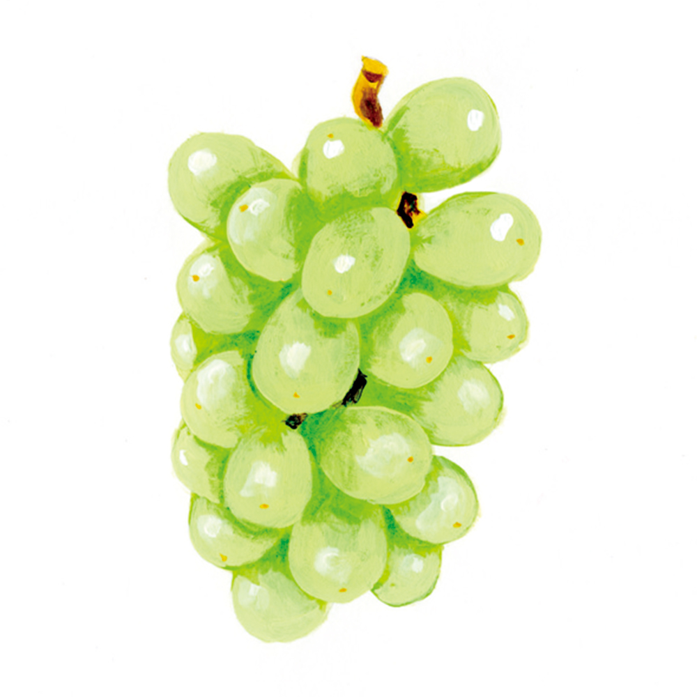 muscat grapes_cmyk