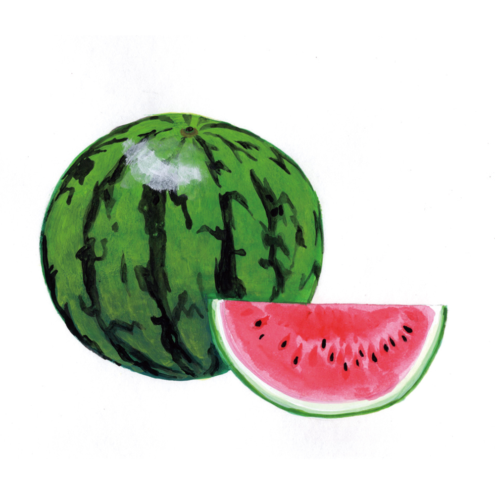 watermelon_cmyk