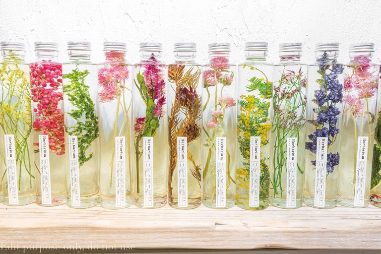 液体の中で浮遊する花が印象的なガラスボトル。枯れる心配がなく、美しい状態を長い期間、眺められる。(1,800円) Hanako_Flower_LUFF-5929_atari-768x512