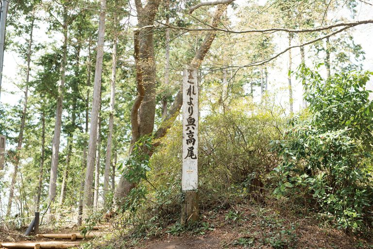 奥高尾縦走路は、高尾山頂から神奈川県と東京都にまたがる陣馬山まで続く約18㎞の尾根道。途中、城山、景信山などの山々があり、それらをつないで歩く。途中途中に下山路があるので、体力に合わせて計画を立てて。