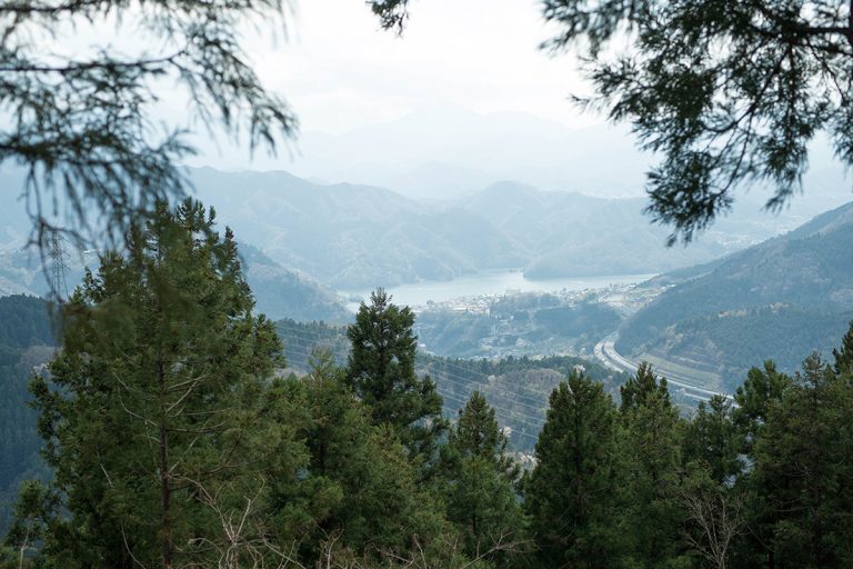高尾山、城山、景信山と3つの山をつないで歩く奥高尾縦走路。深い森の中を歩いて行くと、ぱっと視界が開ける瞬間があり、東京の町並みがジオラマのように見える。尾根の反対側、神奈川県方面には相模湖が見える。 DSC_0556_atari