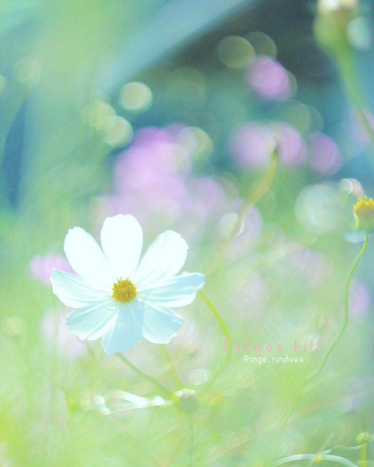 @ange_yuruhuwa 41_ange_yuruhuwa_光の入り方