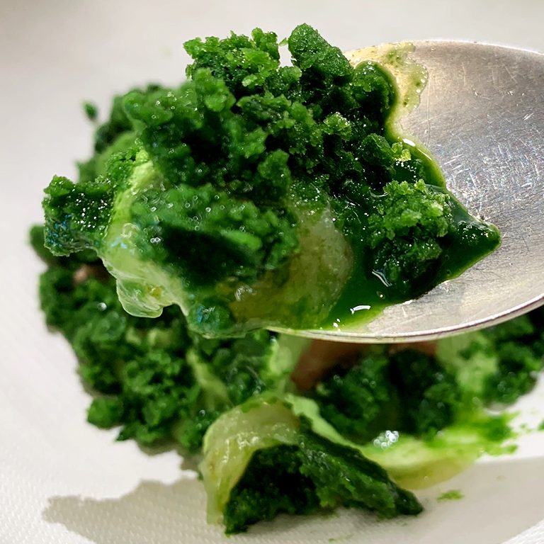 12_gspoon 12_gspoon