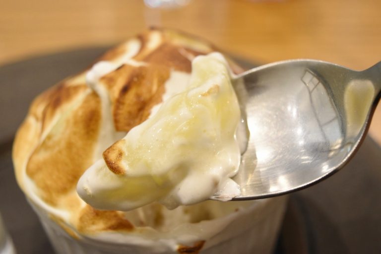 フレッシュな桃のジューシーでとろけるような食感がたまらない。 DSC_0547