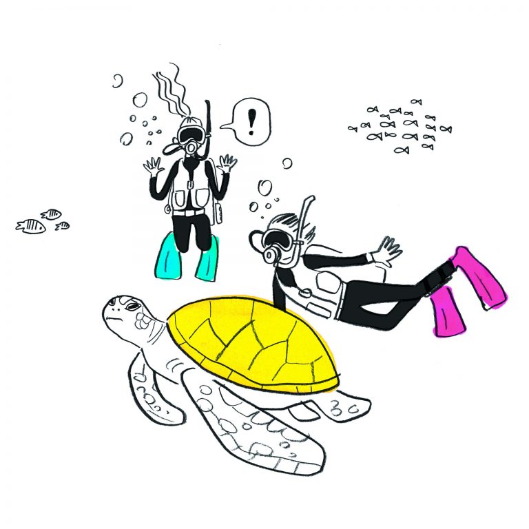 3 3