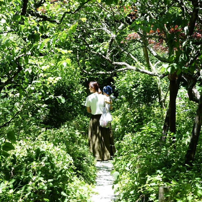 木漏れ日の気持ちいい日でした。 LRG_DSC06524
