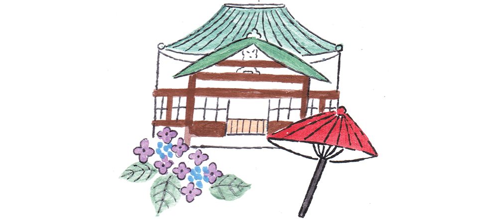 鎌倉ツウのガーデナーおすすめ!鎌倉の紫陽花名所13選。寺社に公園、レストランまで。