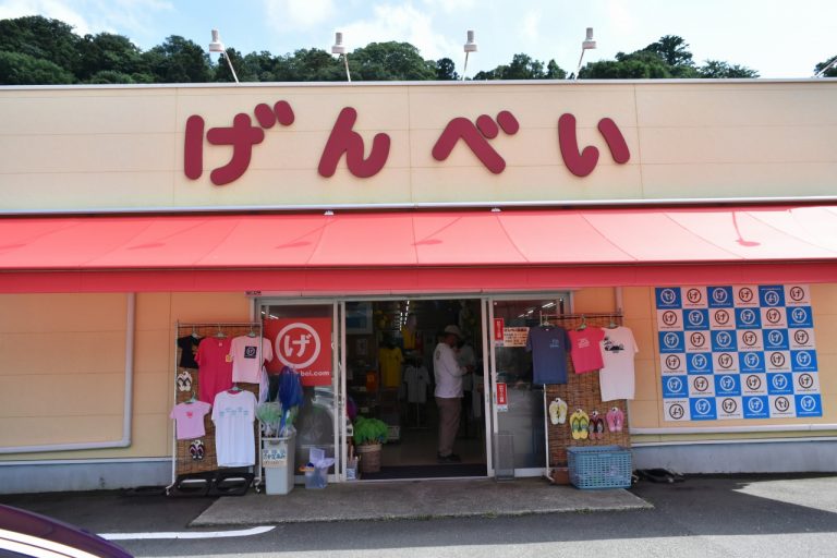 「ビーチサンダル専門店」とは海あり県ならでは。 DSC_0382