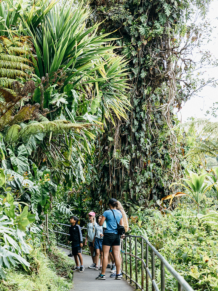 熱帯植物が群生する遊歩道。舗装されているから歩きやすく、1周650ｍほど。軽装で気軽に楽しめる。