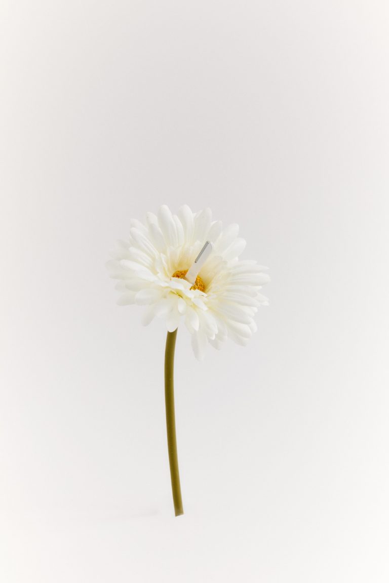 (5)「 ハナコ 」:花の先に「プリティースリムL」がついているカモフラ ージュ型鼻毛切り。“花”と“鼻”をかけているのもツボ。 0824hnkKAI_0391_bDN