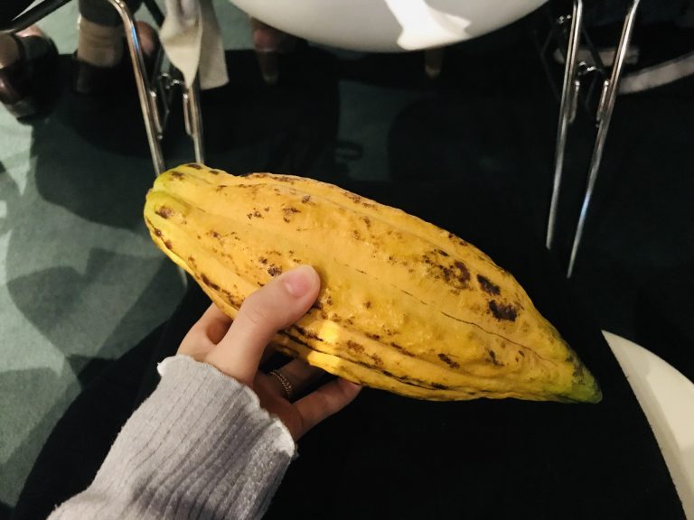 平塚製菓 TOKYO CACAO 平塚製菓 TOKYO CACAO