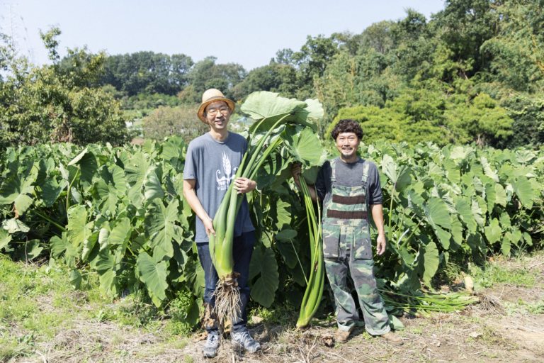 nichinichi・新百合ヶ丘 nichinichi・新百合ヶ丘
